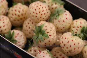 01Nov_WhiteStrawberries