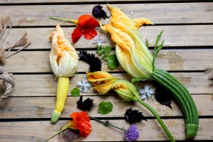courgette and edible flowers
