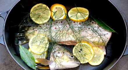 Trout with wild fennel and lemon